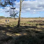 Chalet Luxe En Gezellig Aan Veluwemeer 4 Pers *