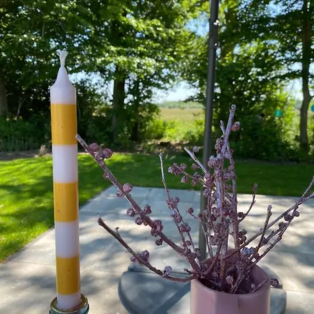 Luxe En Gezellig Aan Veluwemeer 4 Pers Dağ evi