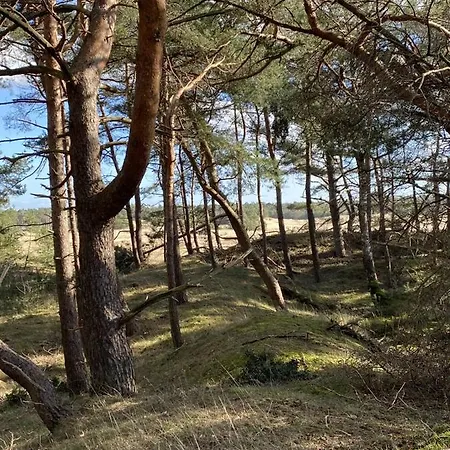 Chalet Luxe En Gezellig Aan Veluwemeer 4 Pers