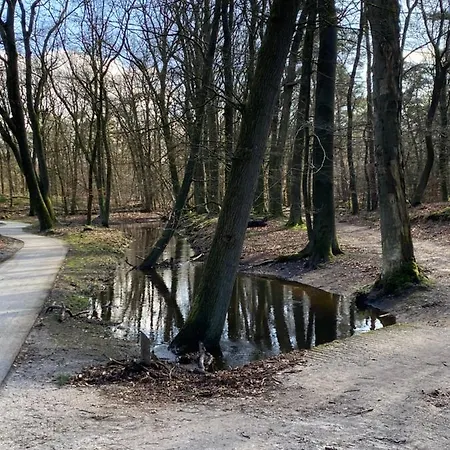 Luxe En Gezellig Aan Veluwemeer 4 Pers Σαλέ Hulshorst