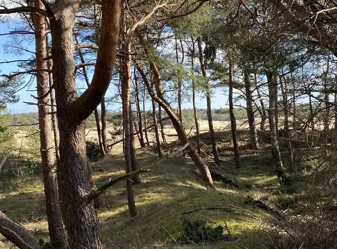 Dağ evi Luxe En Gezellig Aan Veluwemeer 4 Pers