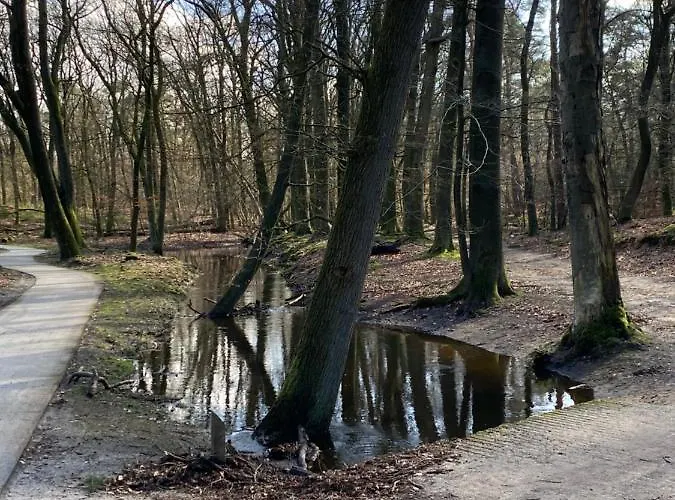 Luxe En Gezellig Aan Veluwemeer 4 Pers Dağ evi Hulshorst