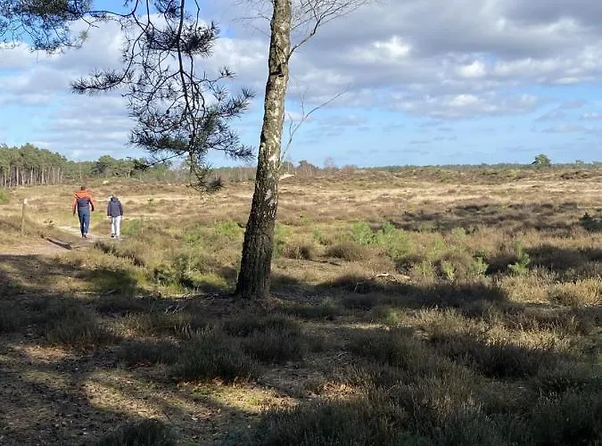 Alpstuga Luxe En Gezellig Aan Veluwemeer 4 Pers *